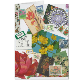 In Bloom Cards
