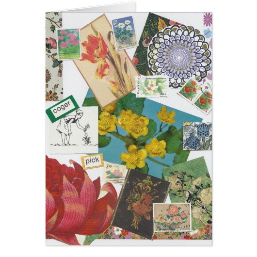 In Bloom Cards (Front)