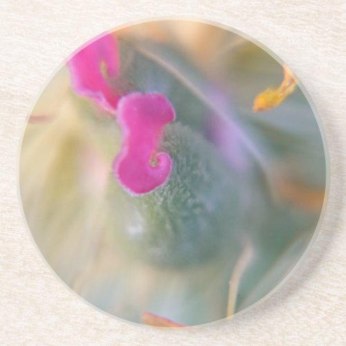 In Bloom Coaster