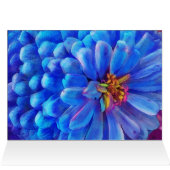 In blue, Zinnia card, flower (Inside Horizontal (Top))