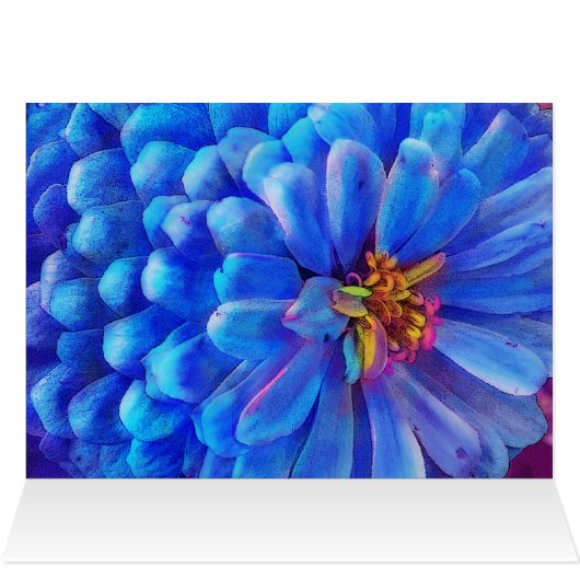 In blue, Zinnia card, flower (Inside Horizontal (Top))