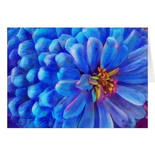 In blue Zinnia card flower