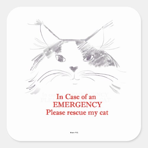 In case of an emergency please rescue my cat square sticker