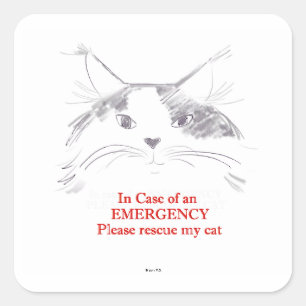 In case of an emergency please rescue my cat square sticker