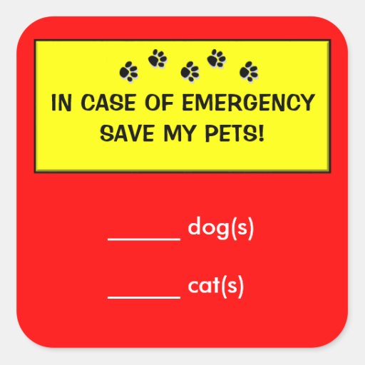 In Case of Emergency Alert Rescue Pet Stickers | Zazzle