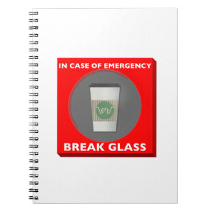 In Case of Emergency, Break Glass Notebook