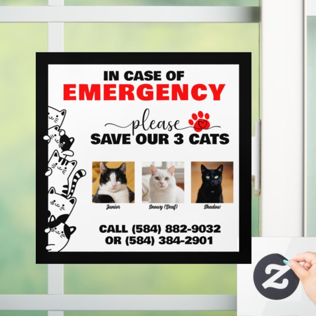 In Case of Emergency Save 3 Cats With Custom Photo Window Cling (Home)