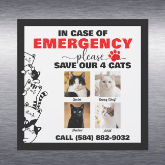 In Case of Emergency Save 4 Cats With Custom Photo Car Magnet
