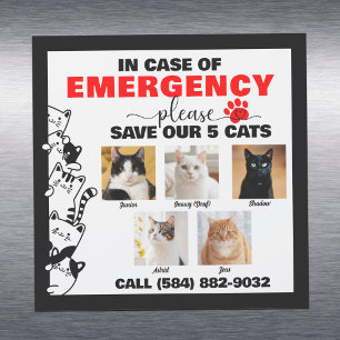 In Case of Emergency Save 5 Cats With Custom Photo Car Magnet