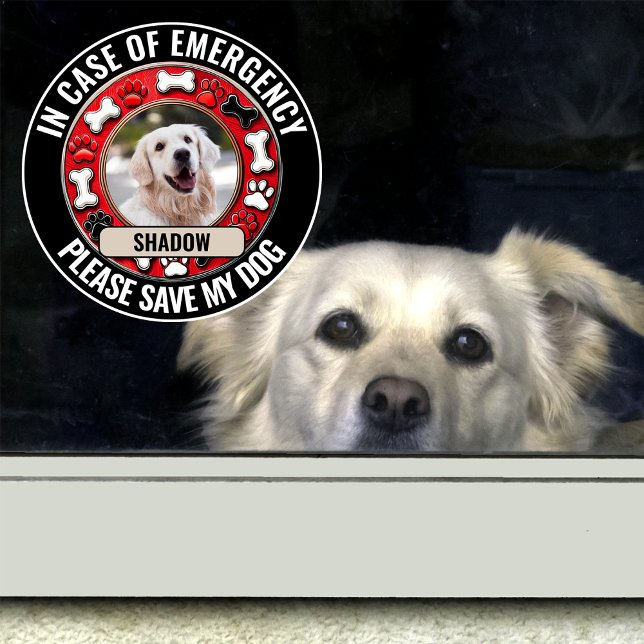 In Case of Emergency Save My Dog Window Cling (Creator Uploaded)
