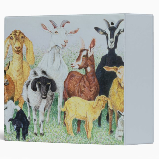 In Clover 3 Ring Binder (Back/Spine)