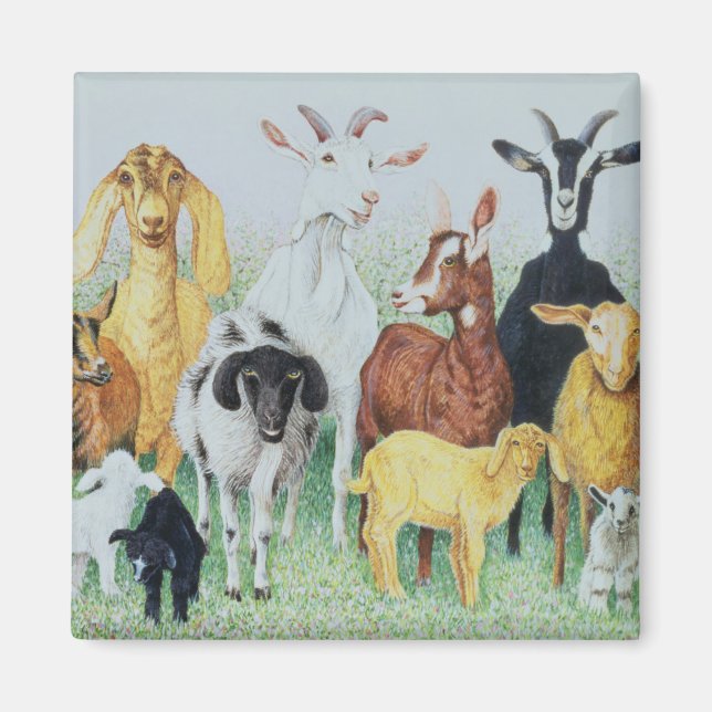 In Clover Magnet (Front)