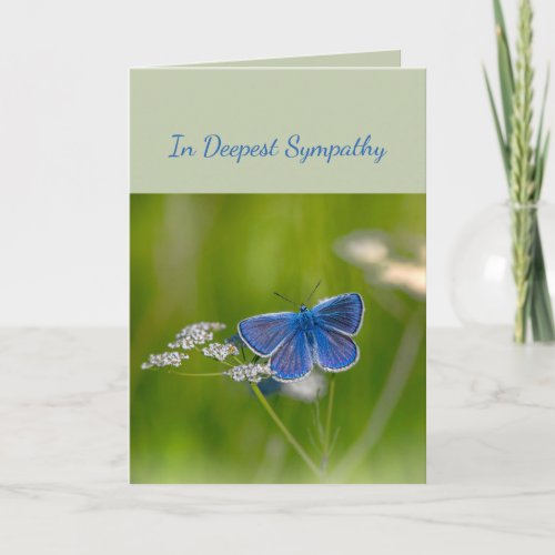 In Deepest Sympathy Help in Difficulty Butterfly C Card