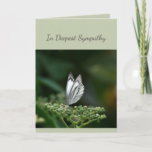 In Deepest Sympathy Help in Difficulty Butterfly Card