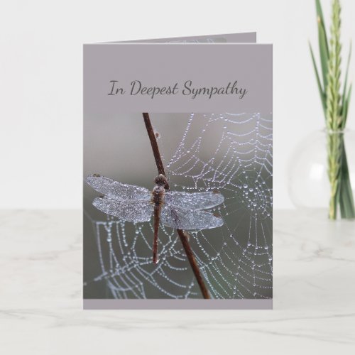 In Deepest Sympathy Help in Difficulty Dragonfly Card