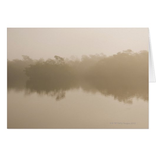 in Ding Darling Cards (Front Horizontal)