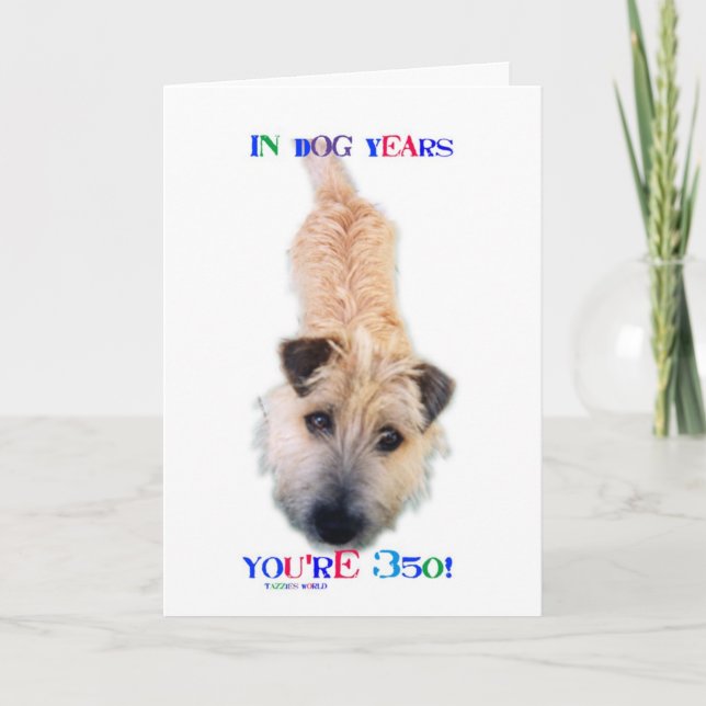 In Dog Years You're 350 Card (Front)