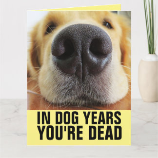  IN DOG YEARS YOU'RE DEAD FUNNY BIG BIRTHDAY CARD