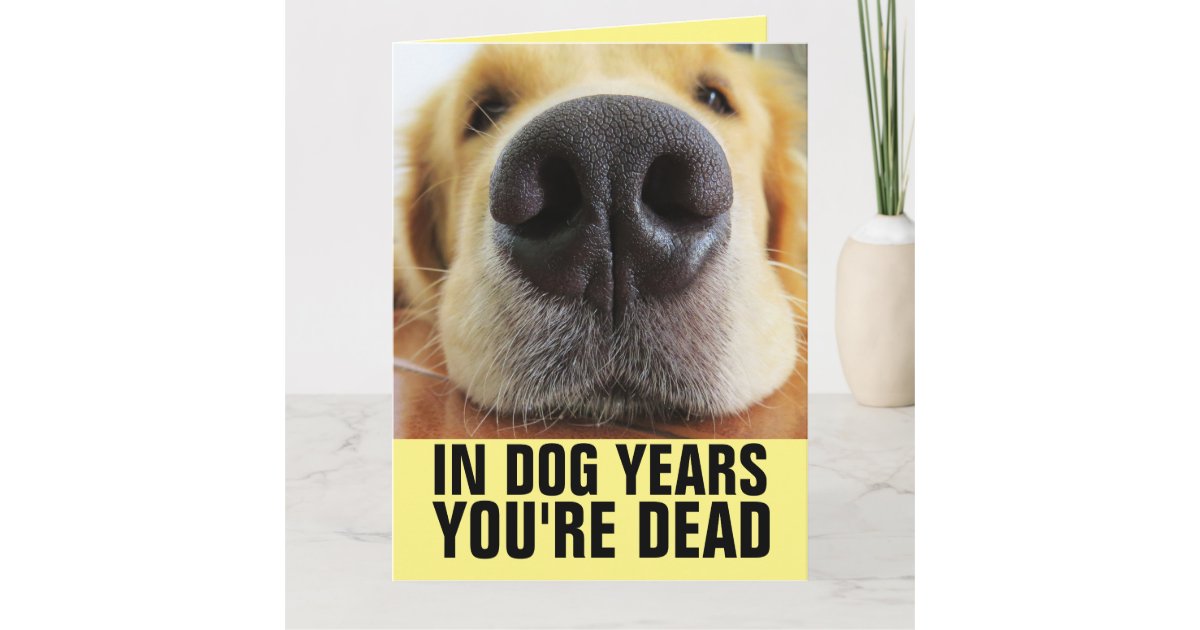 in-dog-years-you-re-dead-funny-big-birthday-card-zazzle