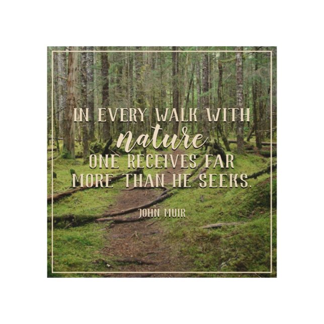 In Every Walk With Nature Wood Wall Art (Front)