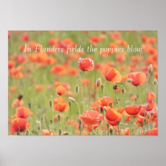 In Flanders fields the poppies blow Poster
