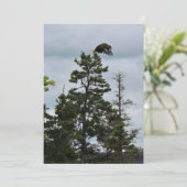 In Flight (Standing Front)