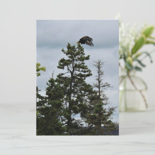 In Flight (Standing Front)