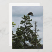 In Flight (Front/Back)