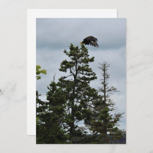 In Flight (Front/Back)