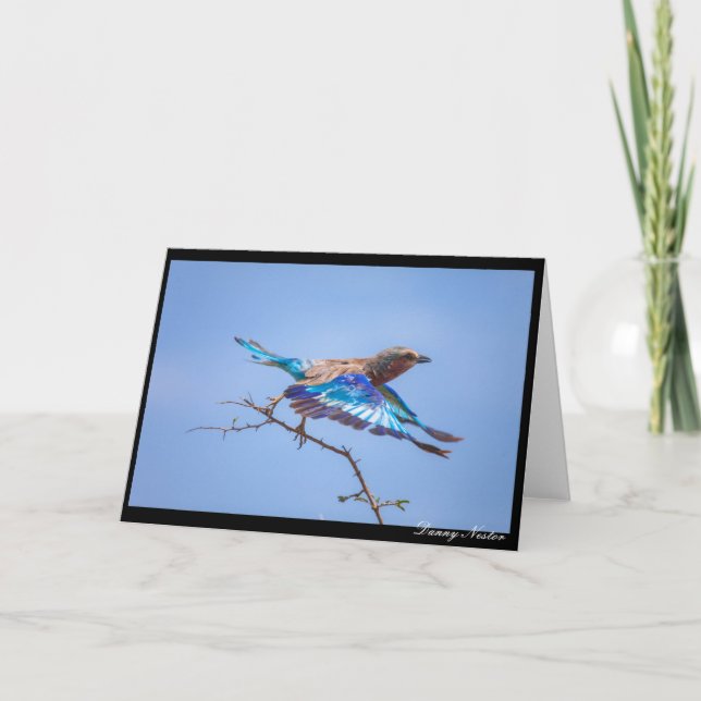 In Flight Card (Front)