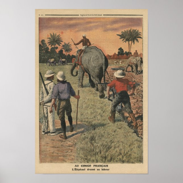 In French Congo, elephant trained to ploughing Poster (Front)