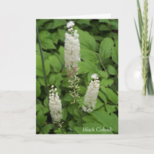 In Friendships Fragrant Garden Flower Quote Card