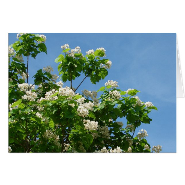 In Full Bloom (Front Horizontal)