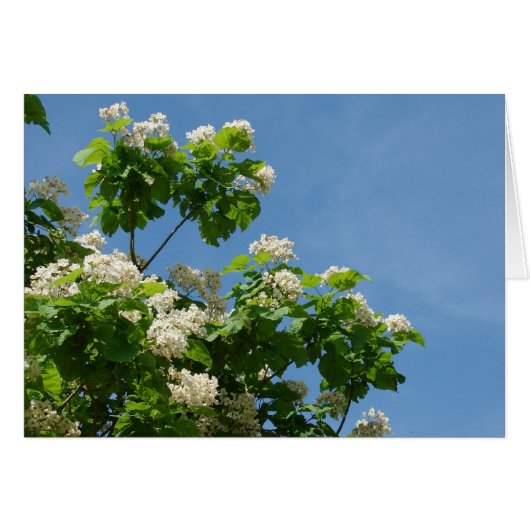In Full Bloom Cards (Front Horizontal)