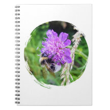 In full flower - notebook with bumblebee motif