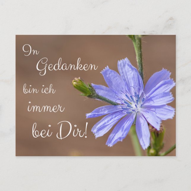 In Gedanken bin ich immer bei Dir! Postcard (Front)