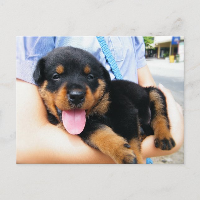 In Good Hands Postcard (Front)