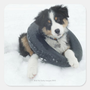 in inner tube in the snow square sticker