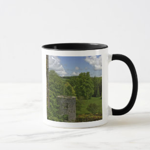 In Ireland, at Blarney Castle a stone tower in Mug