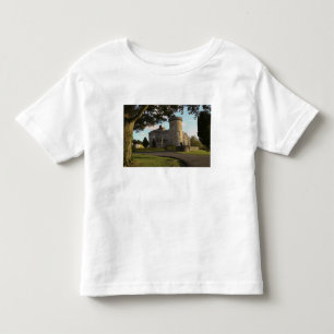 In Ireland, the Dromoland Castle side entrance Toddler T-shirt