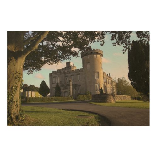 In Ireland the Dromoland Castle side entrance Wood Wall Decor