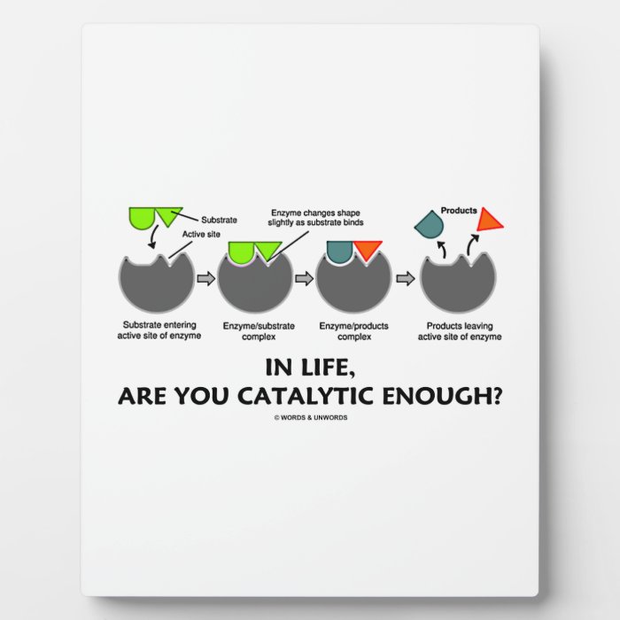 In Life, Are You Catalytic Enough? Display Plaques