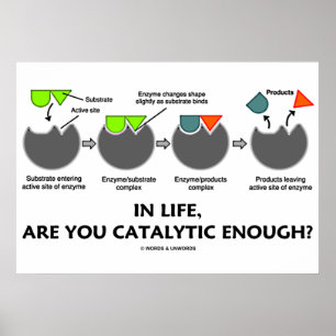 In Life, Are You Catalytic Enough? Enzyme Humor Poster