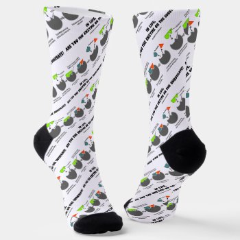 In Life Are You Enzyme Or Substrate? Induced-fit Socks by wordsunwords at Zazzle