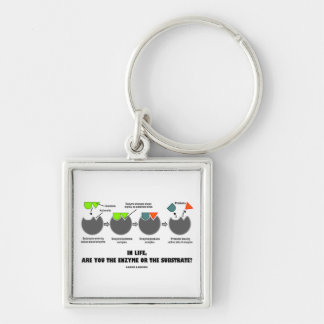 In Life, Are You The Enzyme Or The Substrate? Keychain