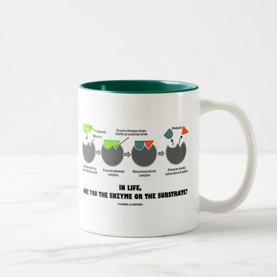 In Life, Are You The Enzyme Or The Substrate? Two-Tone Coffee Mug