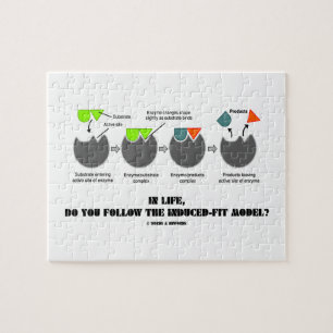 In Life, Do You Follow The Induced-Fit Model? Jigsaw Puzzle