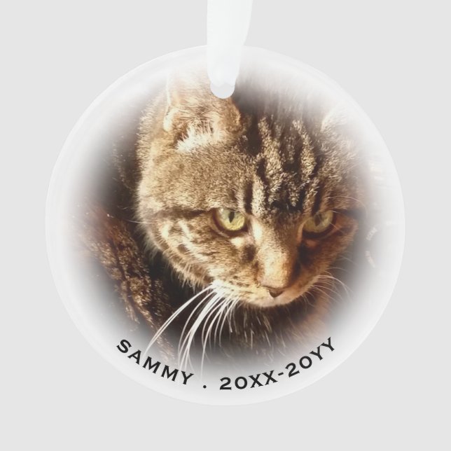 In Loving Memory 2 Photo Name Cat Dog Pet Memorial Ornament (Front)