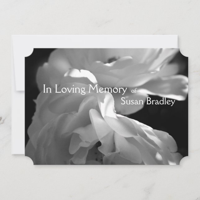 In Loving Memory 2 White Rose Memorial Service Invitation (Front)