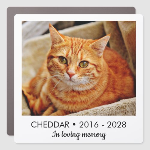 In Loving Memory Cat Memorial Photo Car Magnet